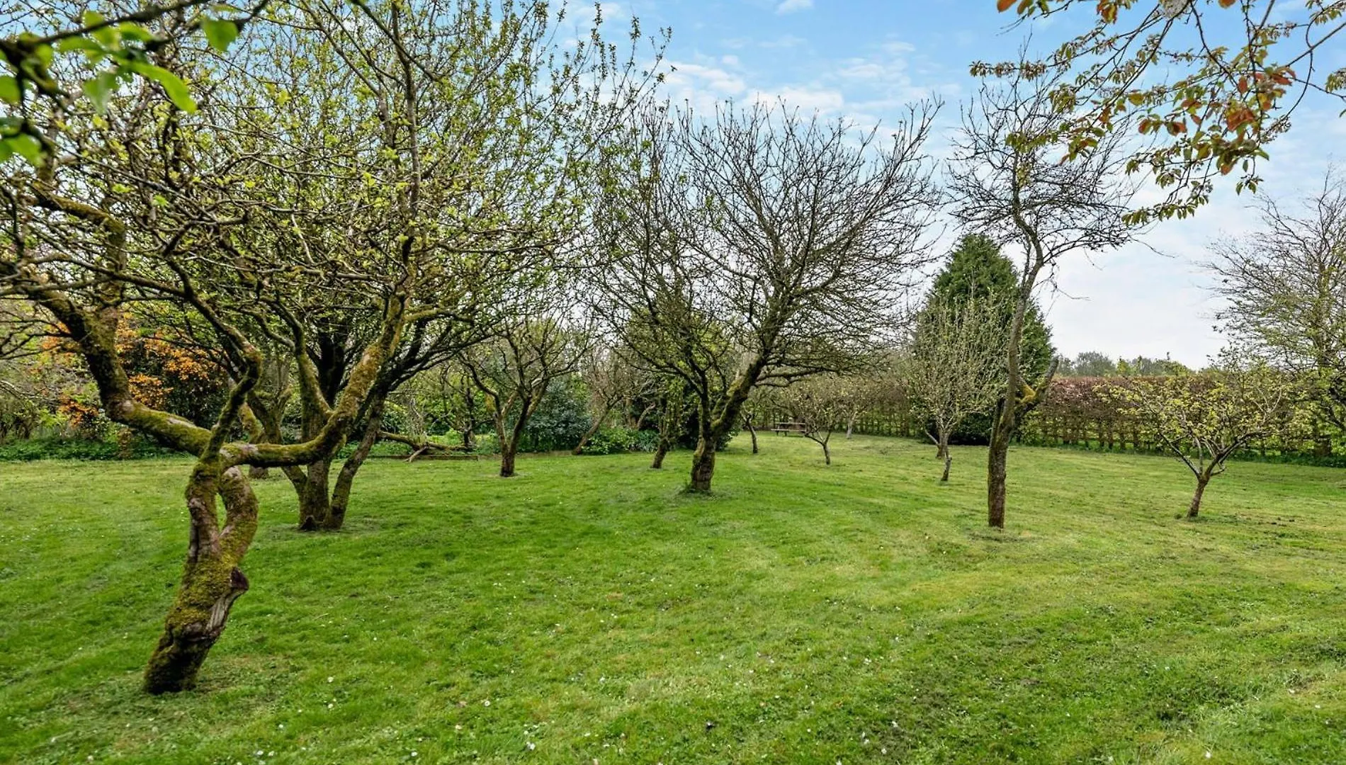 Sawdon2 Bed In Scarborough 79523别墅